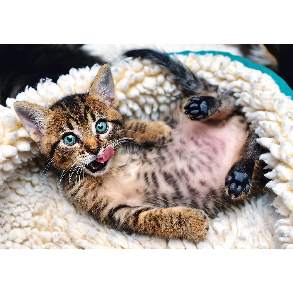 1000 Piece Jigsaw Puzzles, Cheerful Kitten, Puzzle of Animals, Cats, Kittens and Pets, Adult Puzzles, Trefl 10448 - Image 2