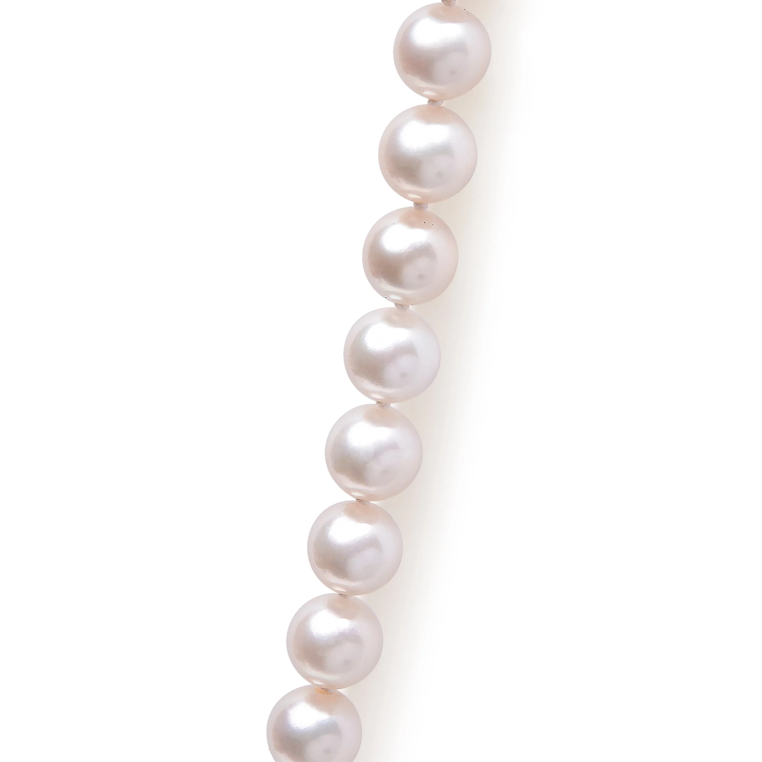 14K Yellow Gold 8.0x8.5mm Akoya Pearl Strand Necklace - Image 2