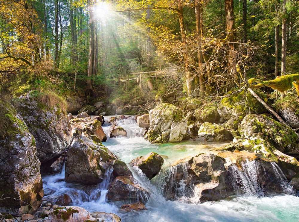 2000 Piece Jigsaw Puzzle, The forest stream, Mountain stream, Nature, Adult Puzzles, Castorland C-200382-2 - Image 2