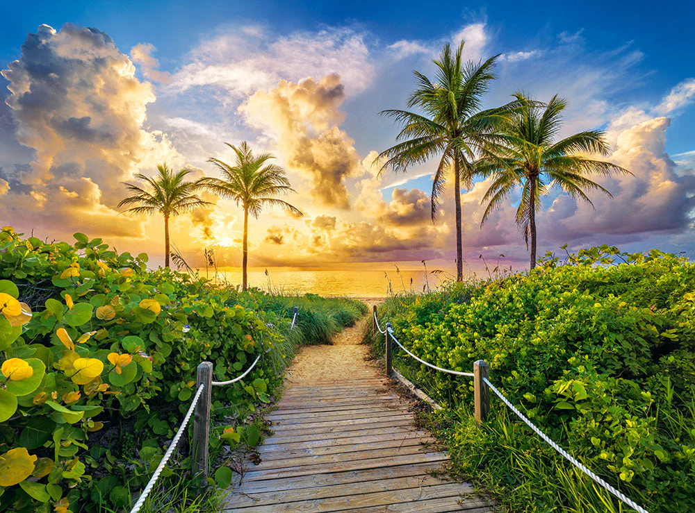 3000 Piece Jigsaw Puzzles, Colorful Sunrise in Miami, USA, Adult Puzzles, Castorland C-300617-2 - Image 2