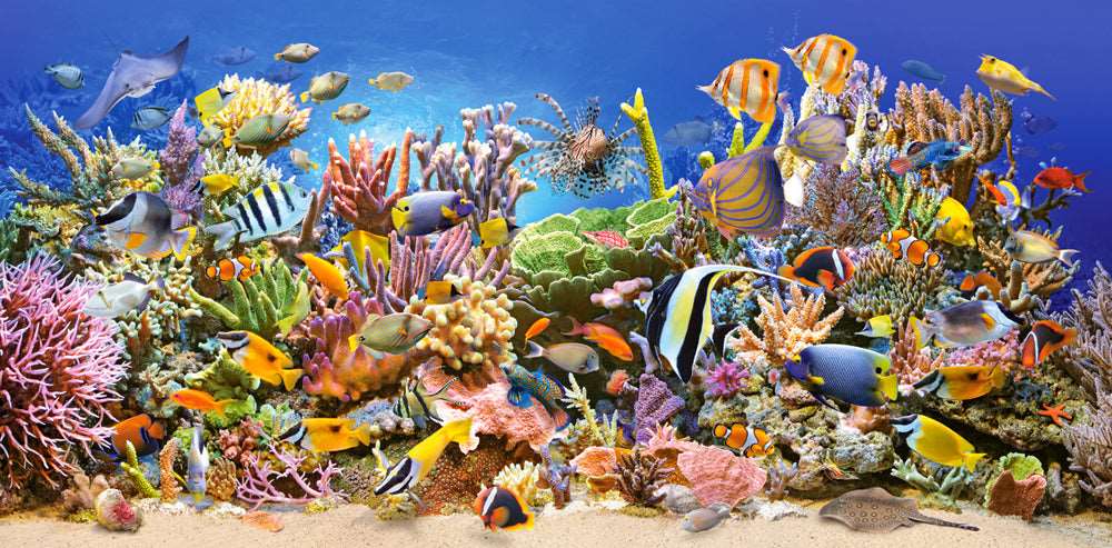 4000 Piece Jigsaw Puzzle, Underwater life, Sealife, Ocean, Adult Puzzles, Castorland C-400089-2 - Image 2