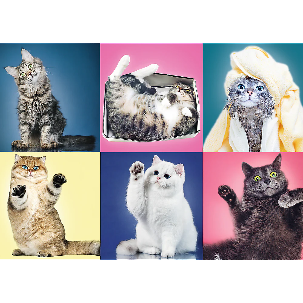 500 Piece Jigsaw Puzzle, Kittens, Silly Pets, Cat Collage, Adult Puzzles, Trefl 37377 - Image 2