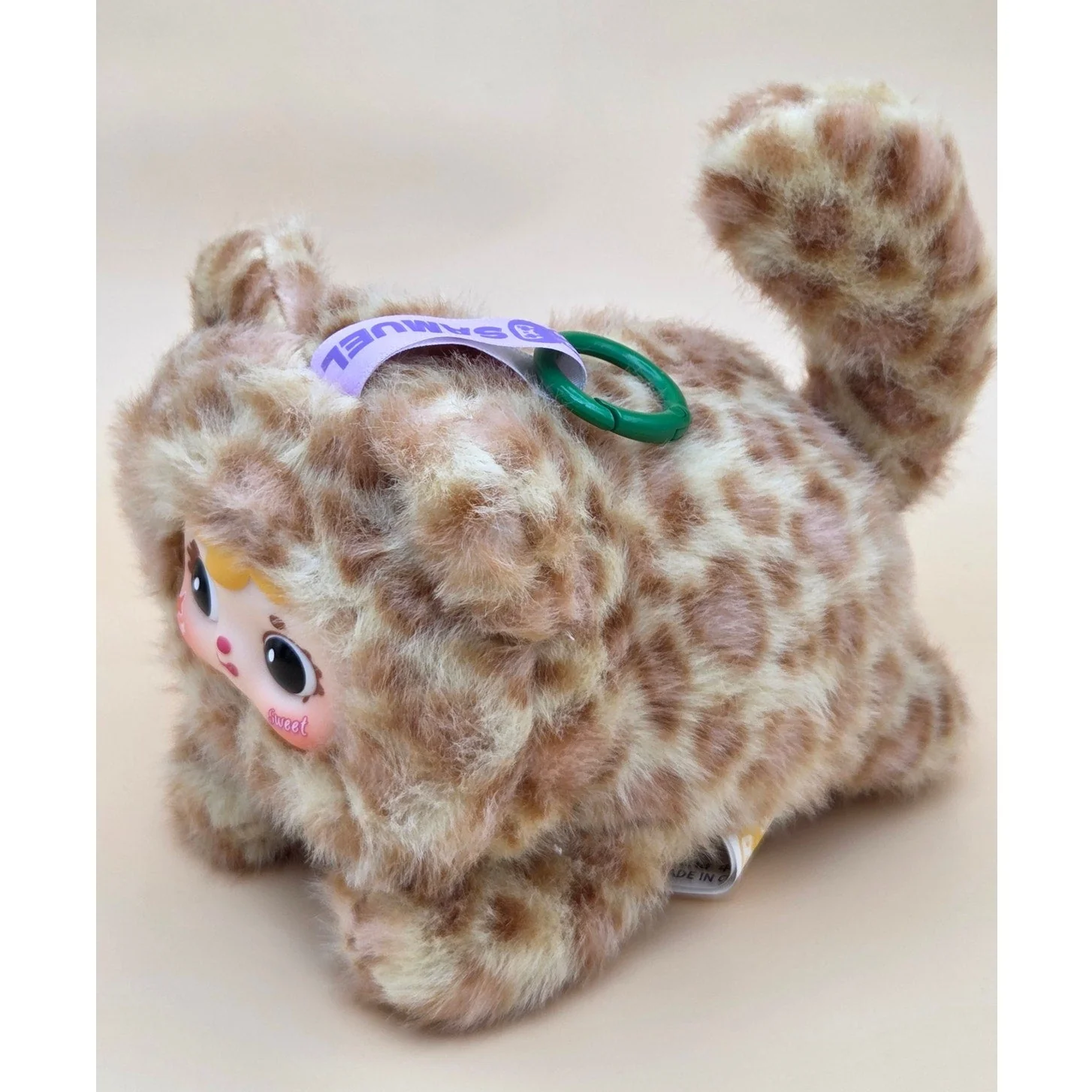 Samuel San Xiao Mao - Confirmed Kaka Cat - Image 4